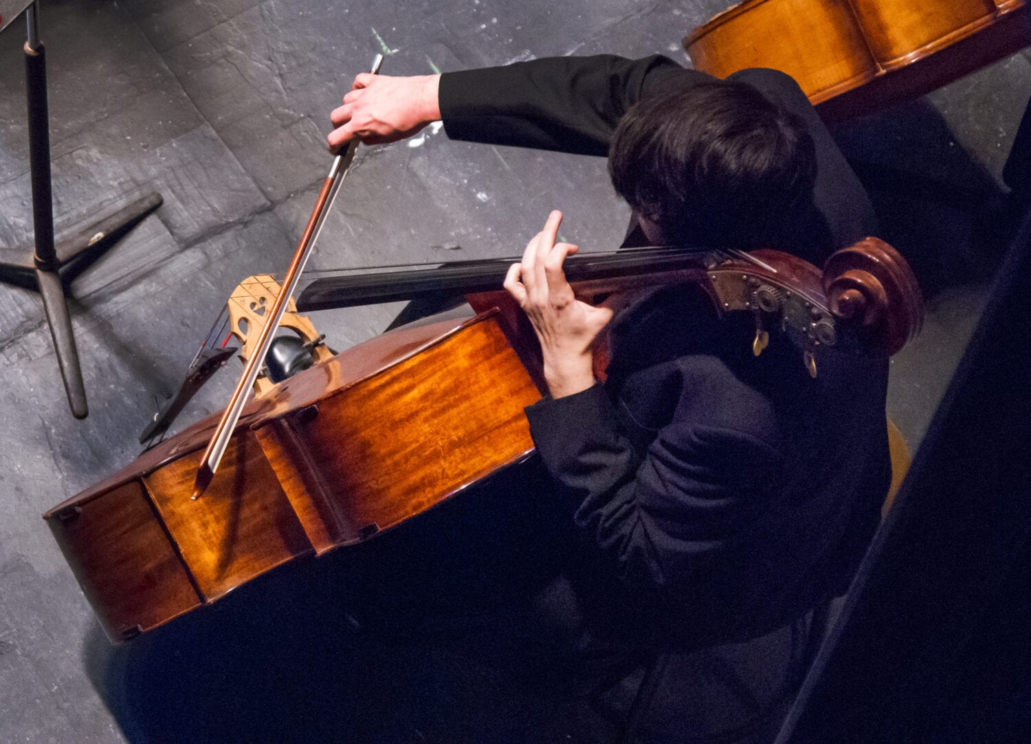 Mansfield Symphony Cellist photo by Jeff Sprang Photography